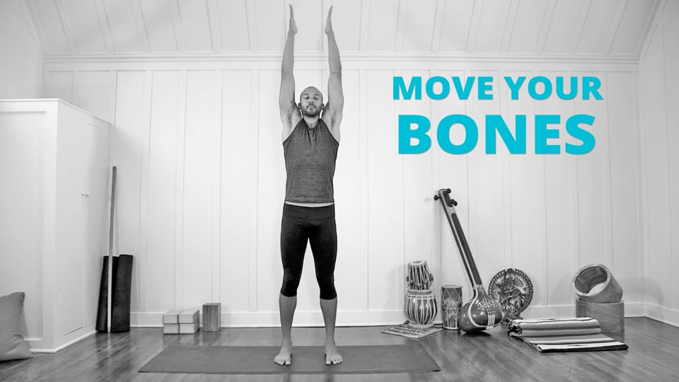 Move Your Bones!