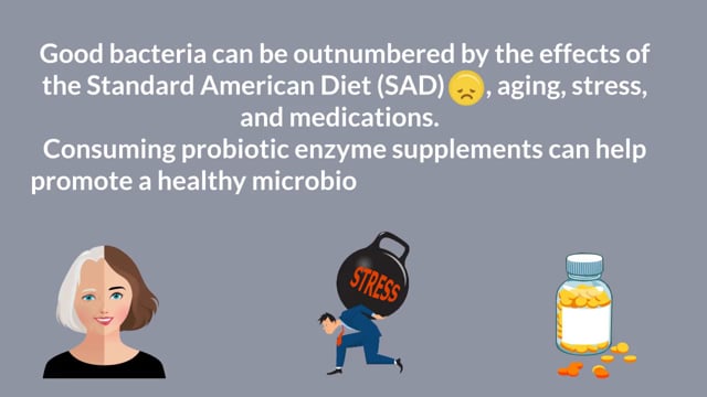 Top 10 Reasons You Should Take a Daily Probiotic Enzyme