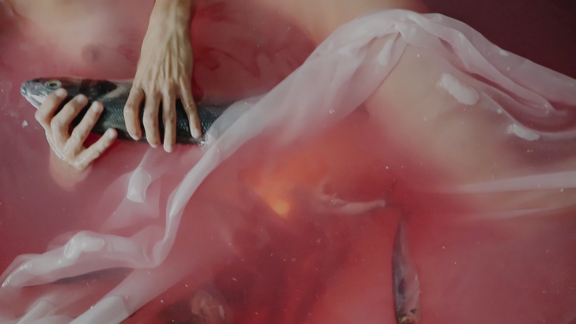 2018: WOMB AWAKENING III (prophecy)