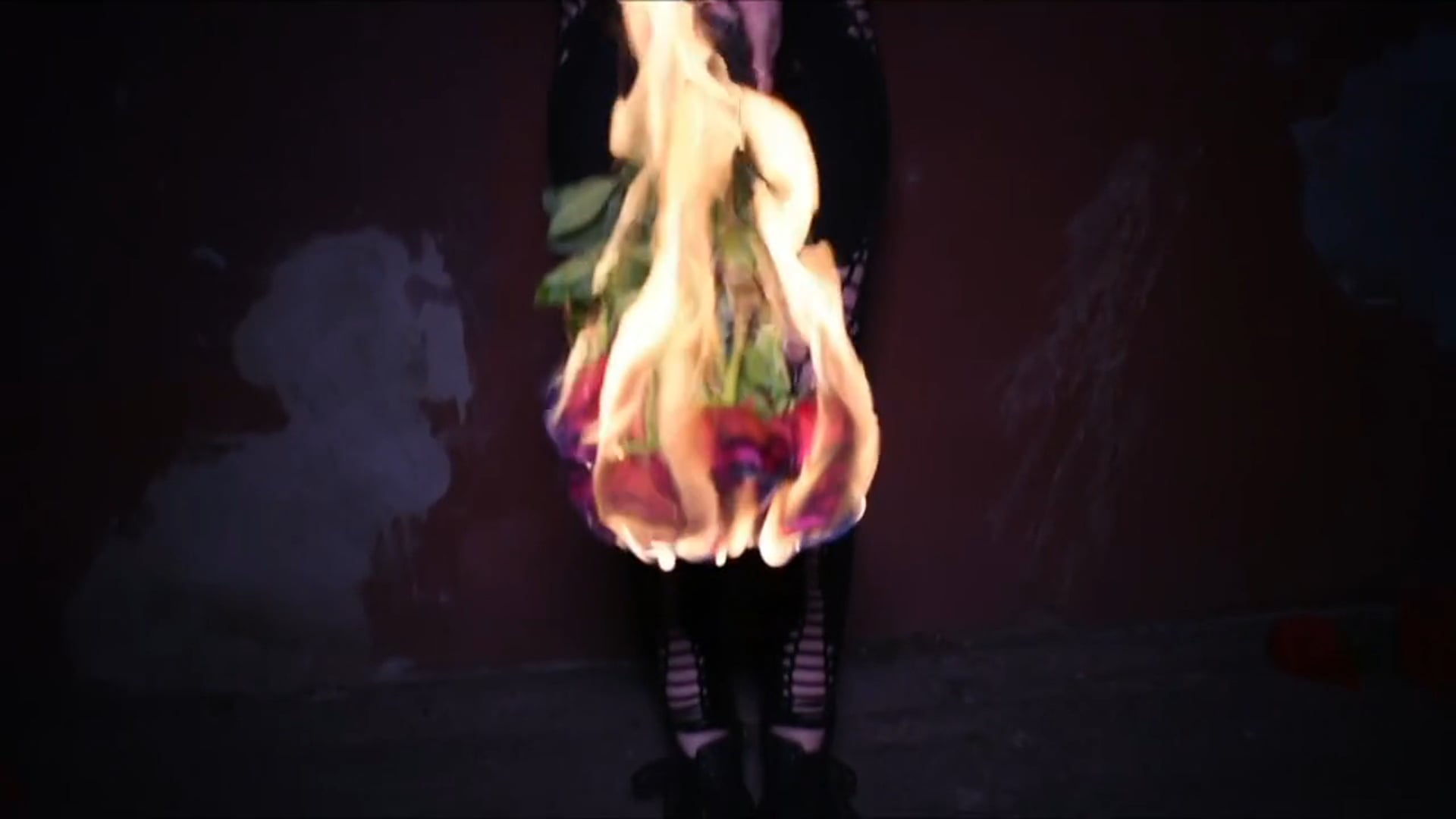 Promotional video thumbnail 1 for Allie PyroCat