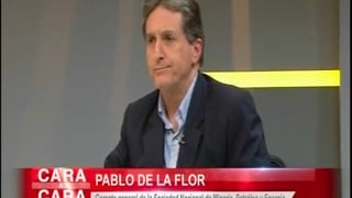 Entrevista a Pablo de la Flor en Canal 7