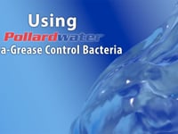 Pollardwater 25 lb. Ultra-Grease Bacteria PJL100 at Pollardwater