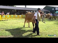 Vacas en lactación de 9 años en adelante