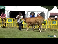 Terneras de 12 a 18 meses