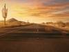 MAX MOORE - DON'T TRASH ARIZONA - 30 SECOND