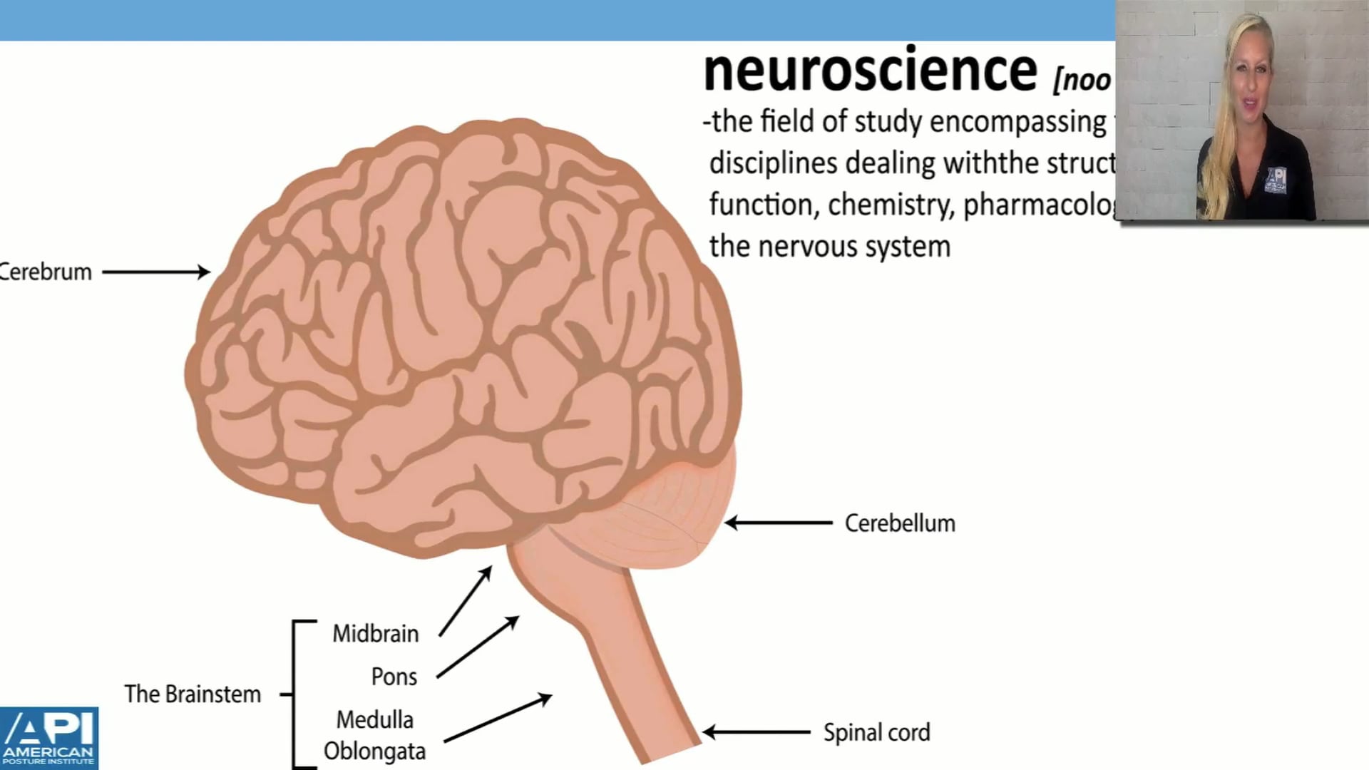 Neuro Fundamentals Brainstem and CNs on Vimeo
