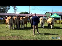 Hembras en lactación hasta 4 años