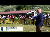 Hembras en lactación de 4 a 5 años