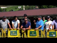 Hembras en lactación de 5 a 7 años