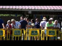 Hembras en lactación de 7 a 9 años