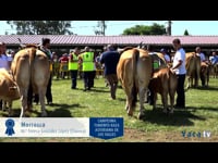 Campeonato fomento Raza Asturiana de los Valles