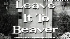 Leave It to Beaver: Stocks and Bonds thumbnail