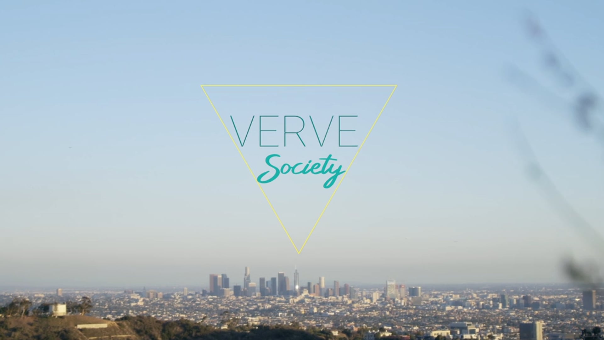 Verve Society
