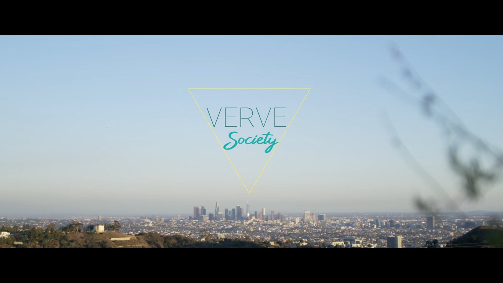Verve Society