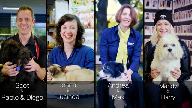PURINA PETS AT WORK DAY
