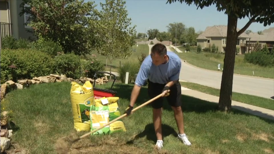 Tips from Toby – Fall Lawn Program