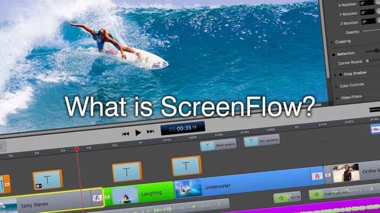 Video Editing and Screen Recording Software