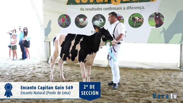 Xatas de 6 a 9 meses