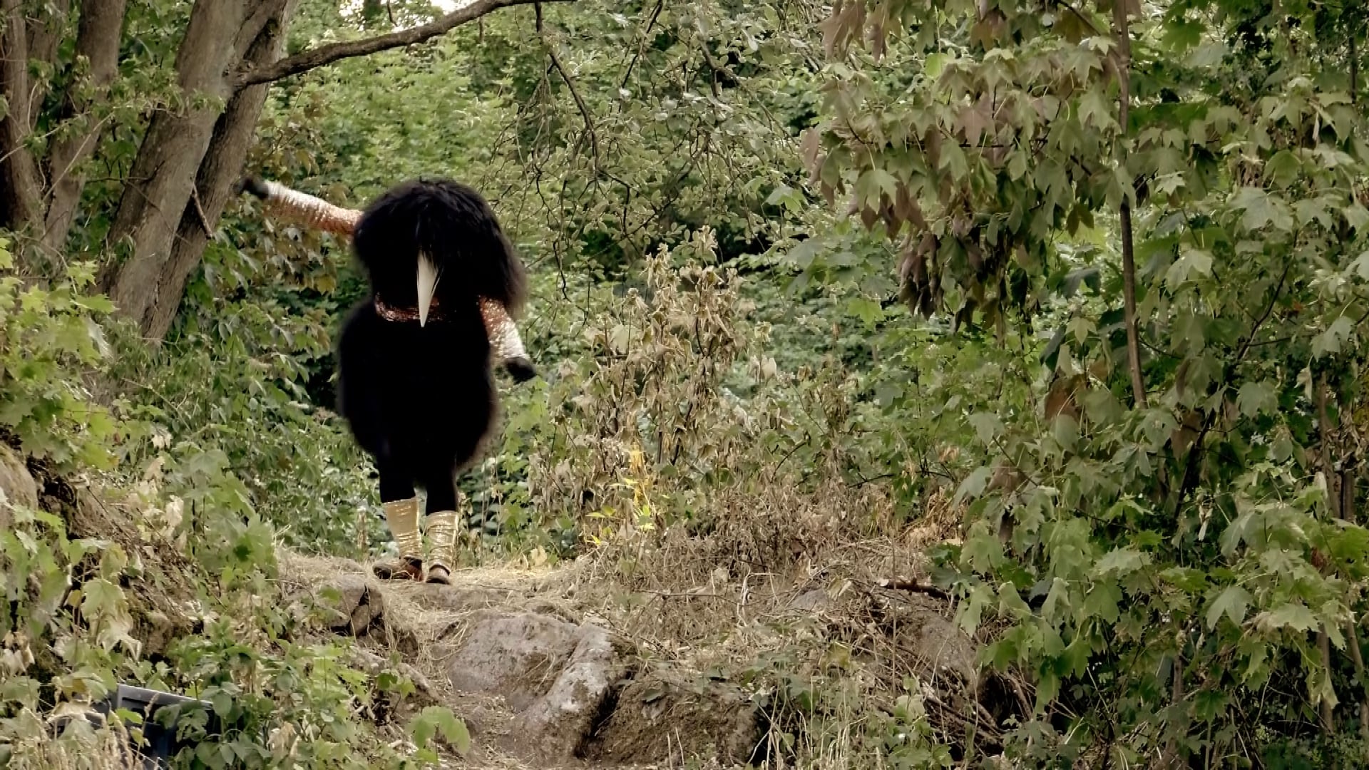 The Rooks are coming