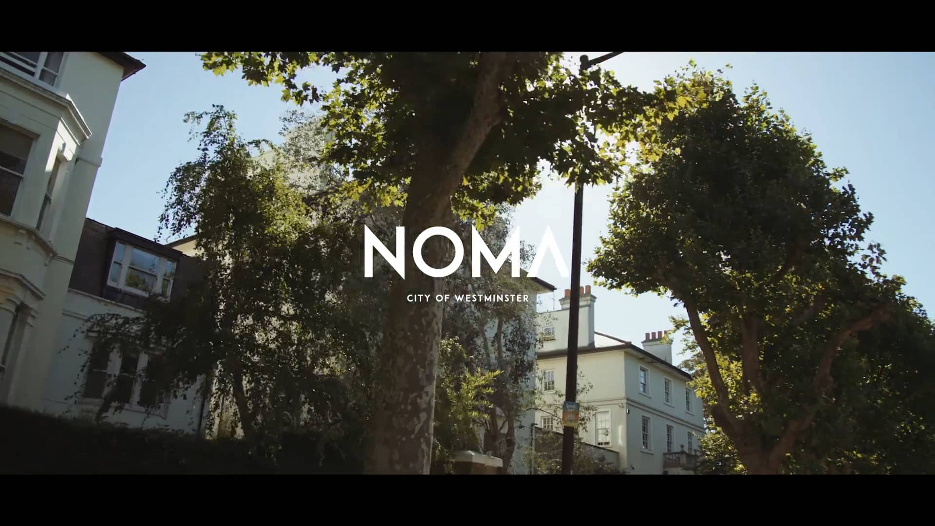 NOMA Local Area on Vimeo