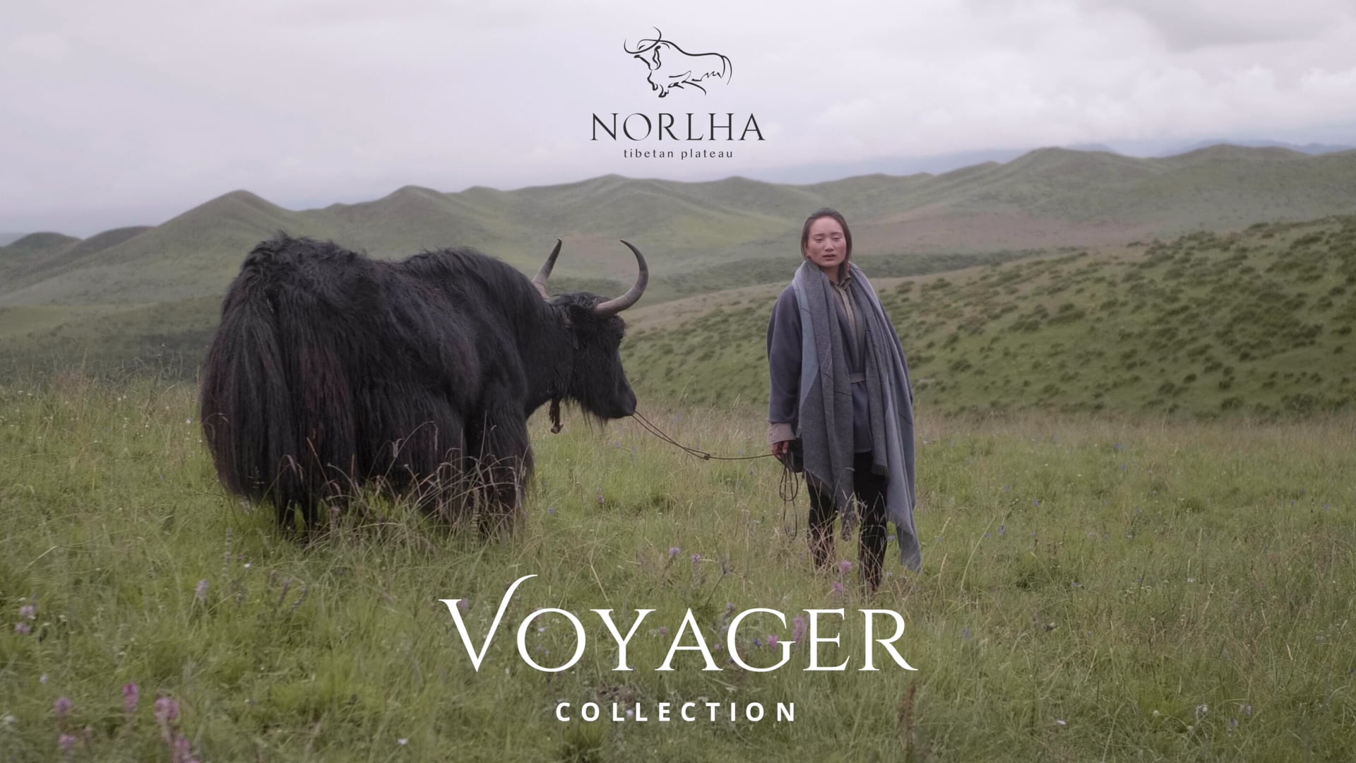 Norlha: Voyager Collection