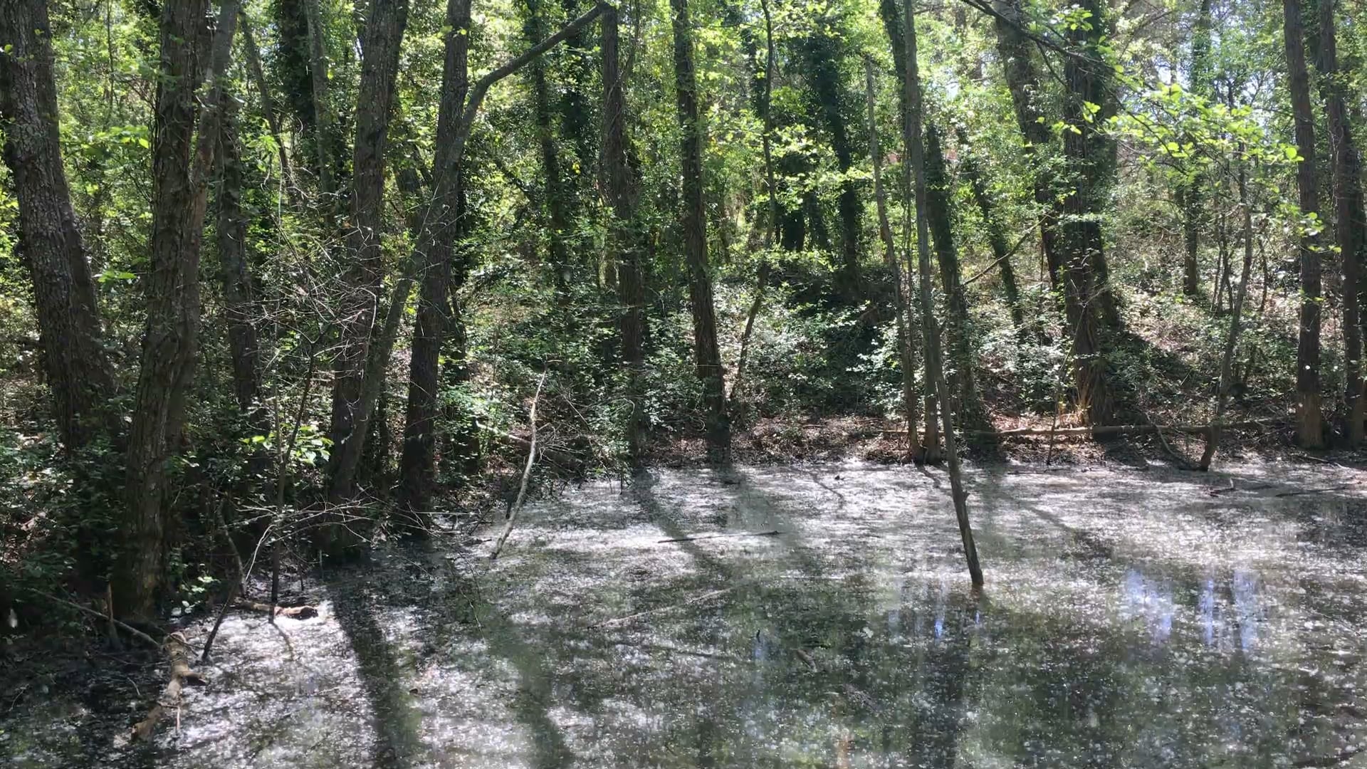 Cinehaiku #2 - Can We Stay Just A Little Longer ?