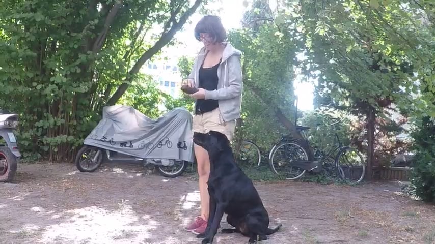 Apportiertraining Emmi on Vimeo