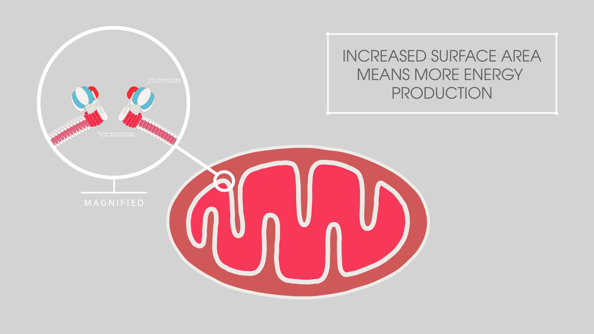 Diabetes Research