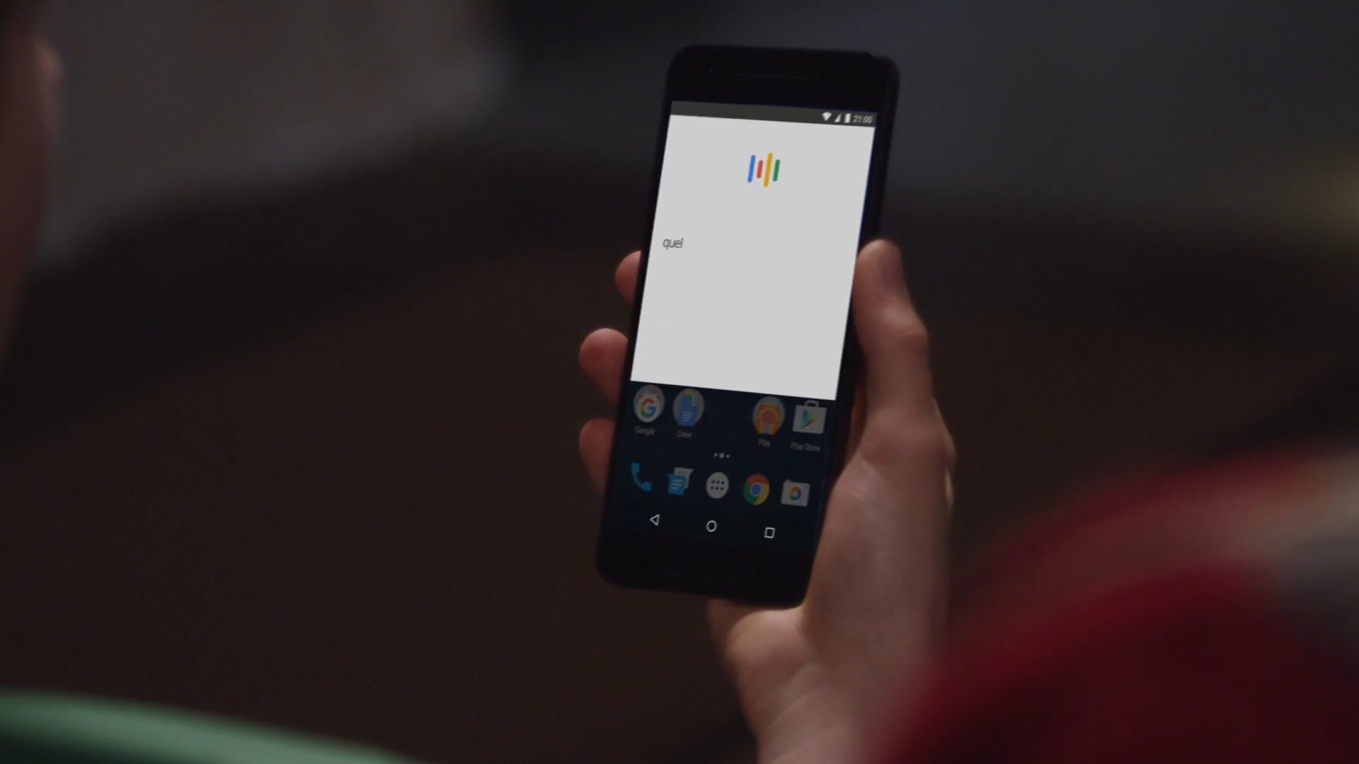 Google - Léo, Aurey, le lion