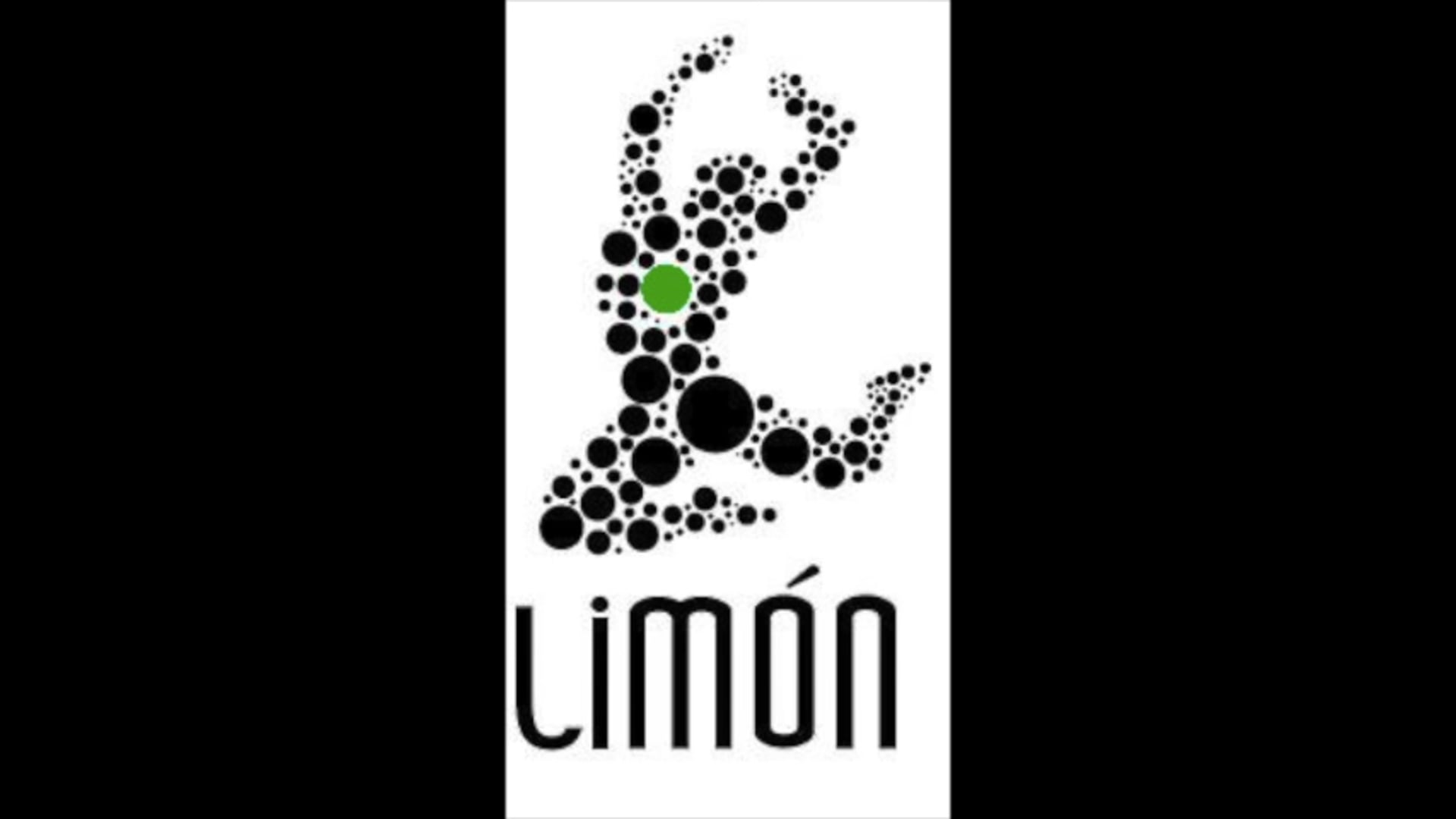 Kathryn Alter  excerpt 3 Limon's Chaconne