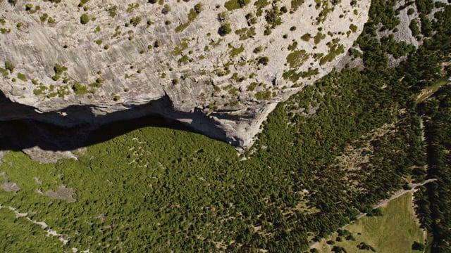 Staff Picks | Vimeo On Demand