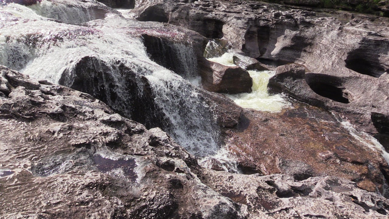 Caño Cristales - Kolumbiens Fluss der fünf Farben