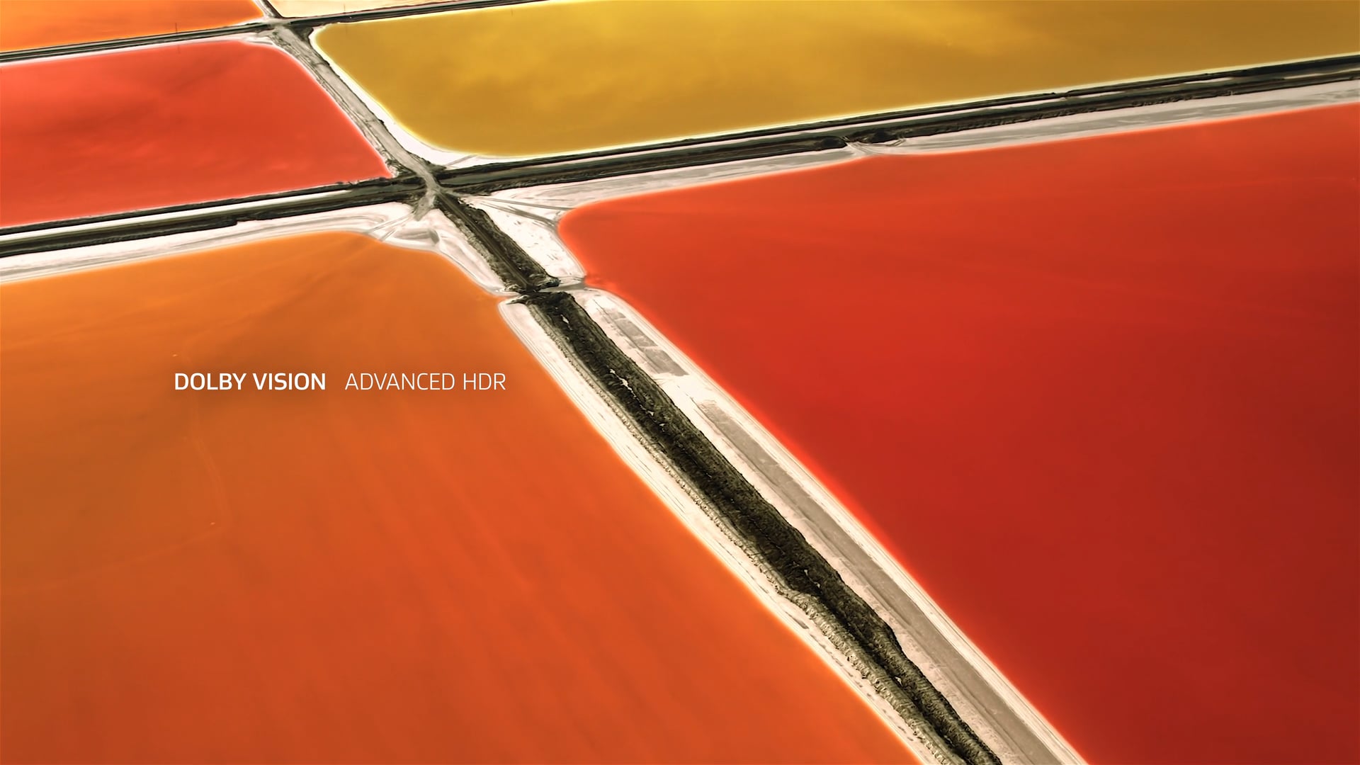 2018 Dolby Vision Reveal More Campaign - Palette