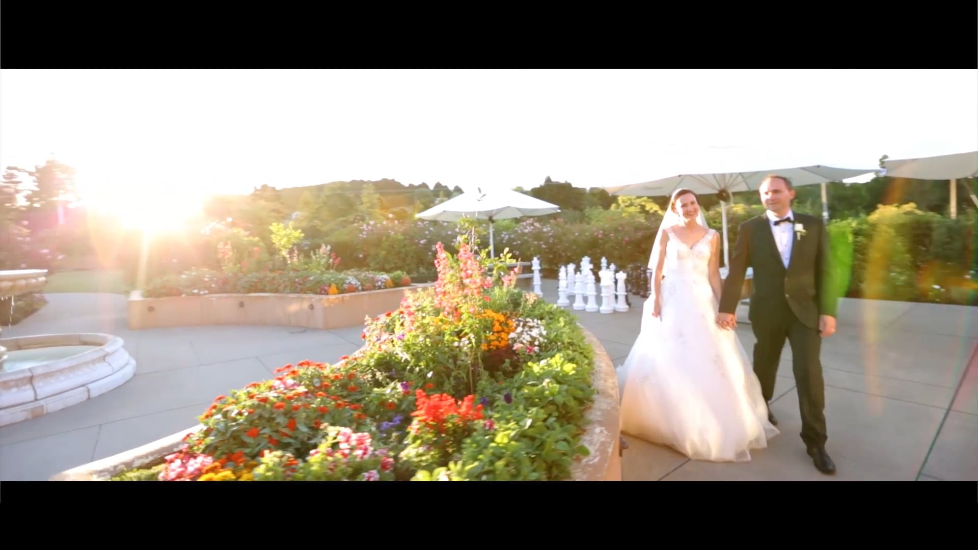 Wedding Highlights