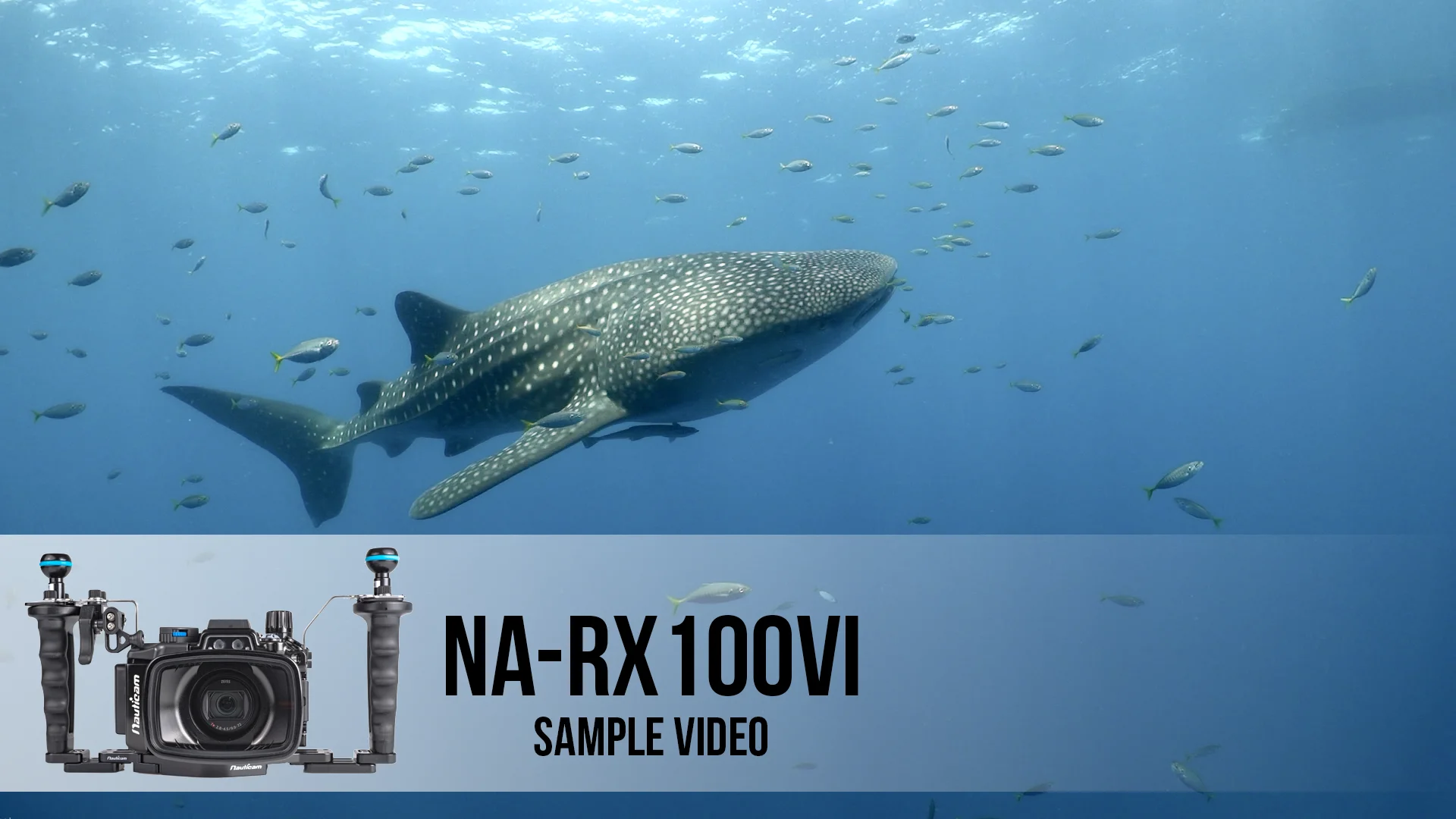 NA-RX100VI Video Demo