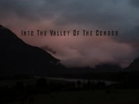 Into The Valley Of The Condor