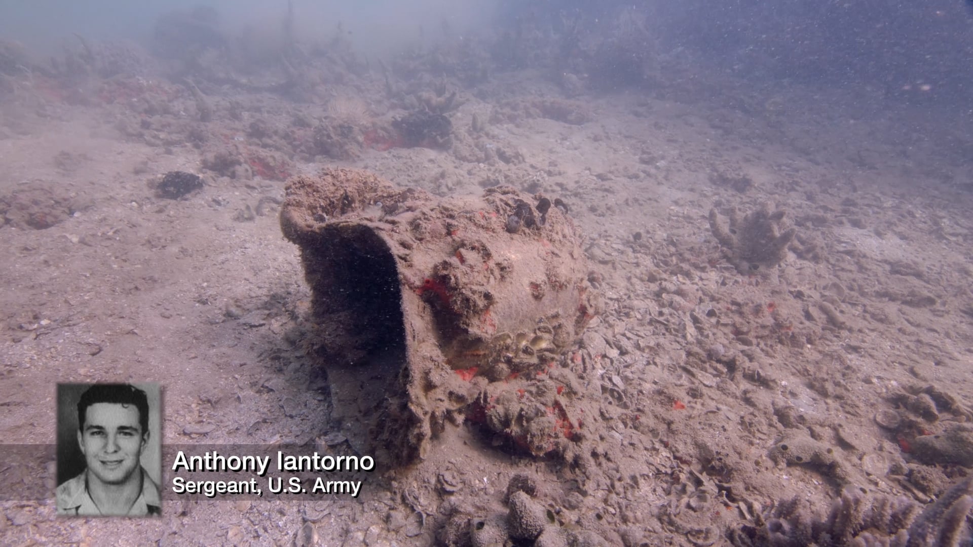 USS Arizona - Survivor Stories & Underwater World