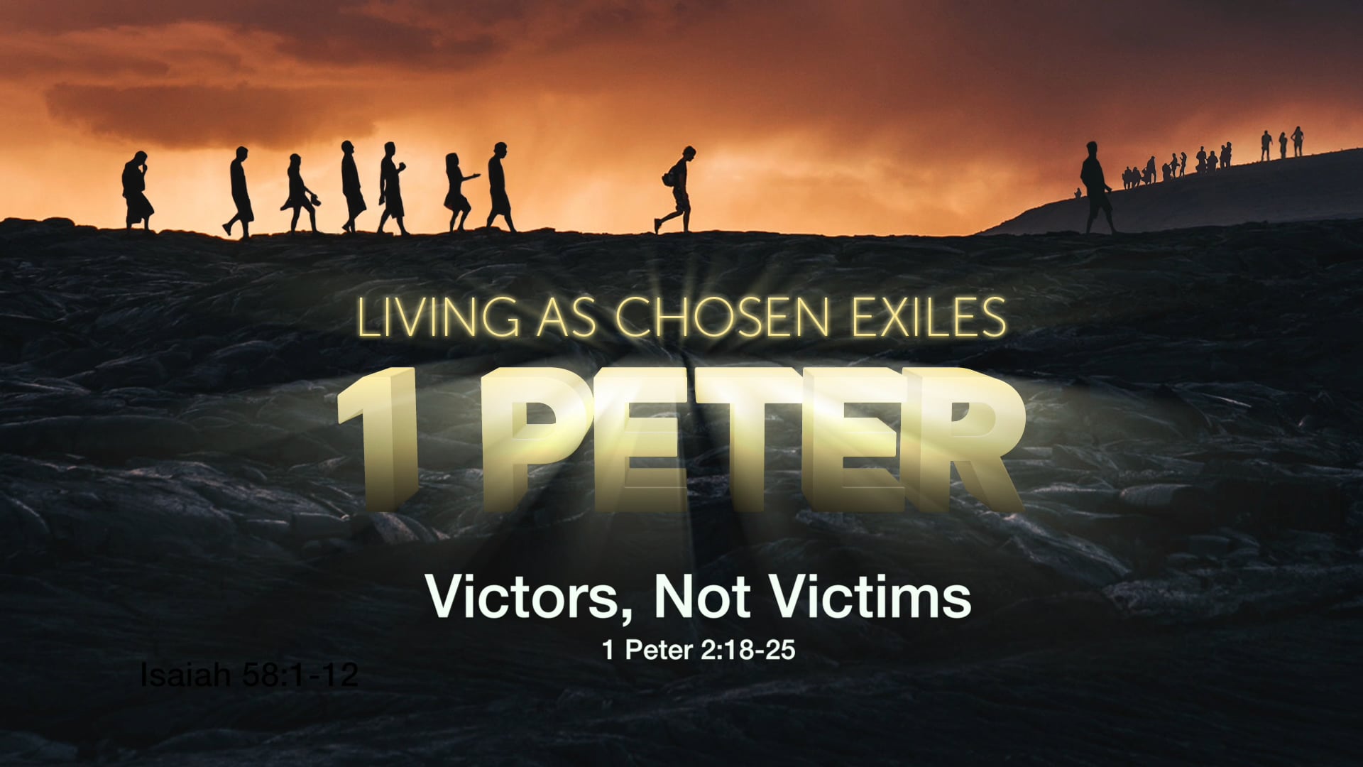 Victors, Not Victims On Vimeo