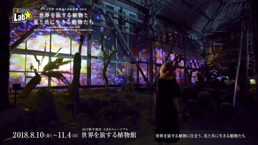 Teamlab Ube Tokiwa Park 2018 The Botanical Garden And Animals Of Flowers Symbiotic Lives On Vimeo