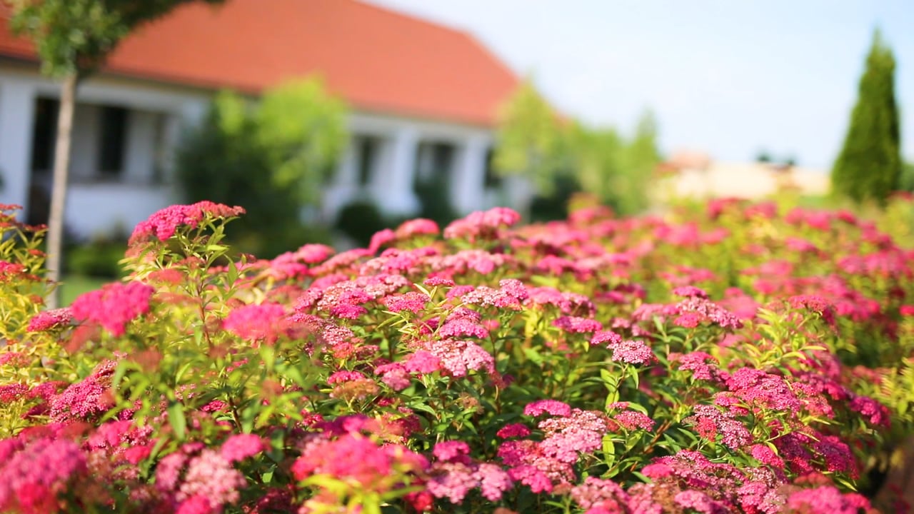 Páskom Cottage Wedding Image Film