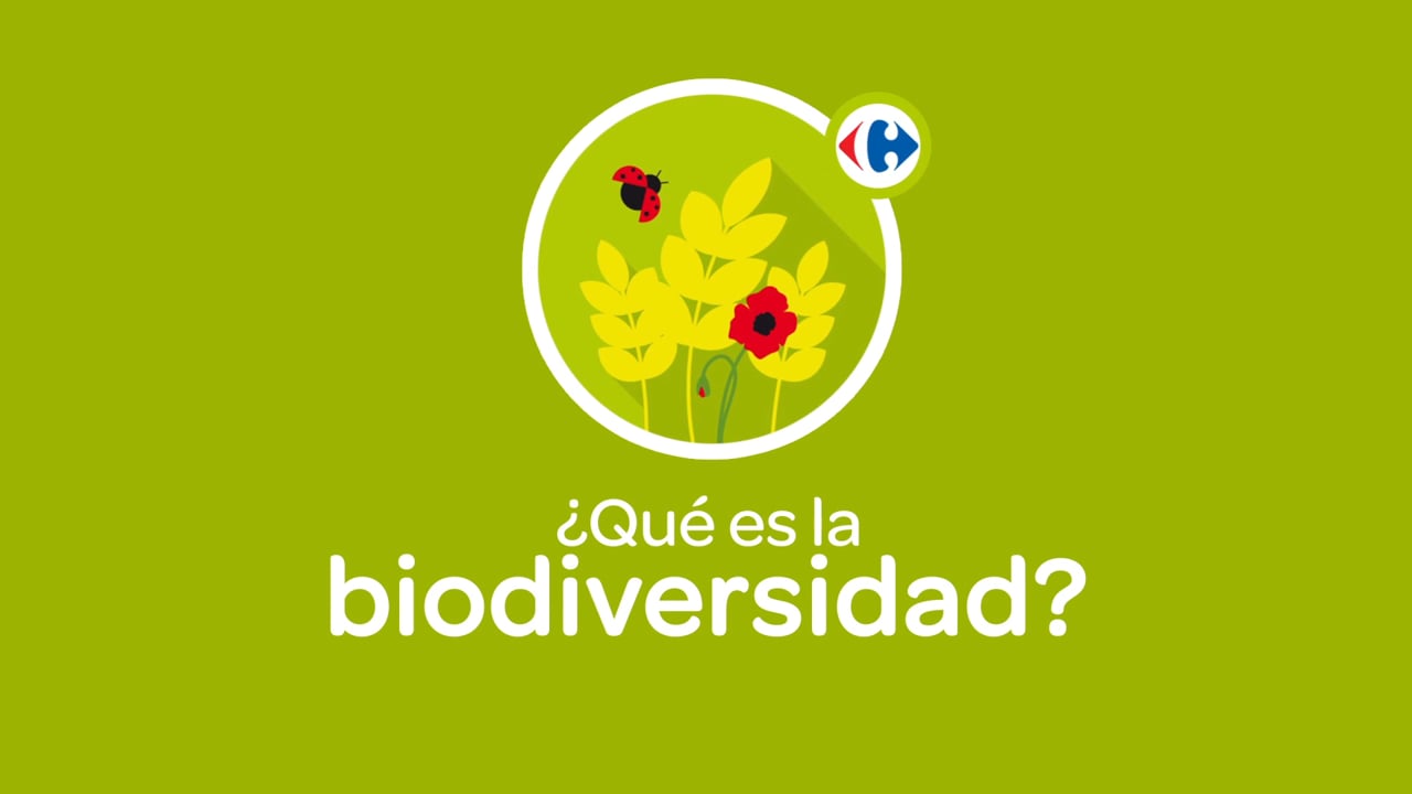 Trabajos de vídeos corporativos para Carrefour | Videocontent Tu vídeo desde 350€ | 725203875 cada4033758db16f3edcdcf50a03fba9dfa625e0abf9c23fdc1ac701f6b518b0 d 1280x720?&r=pad&region=us |
