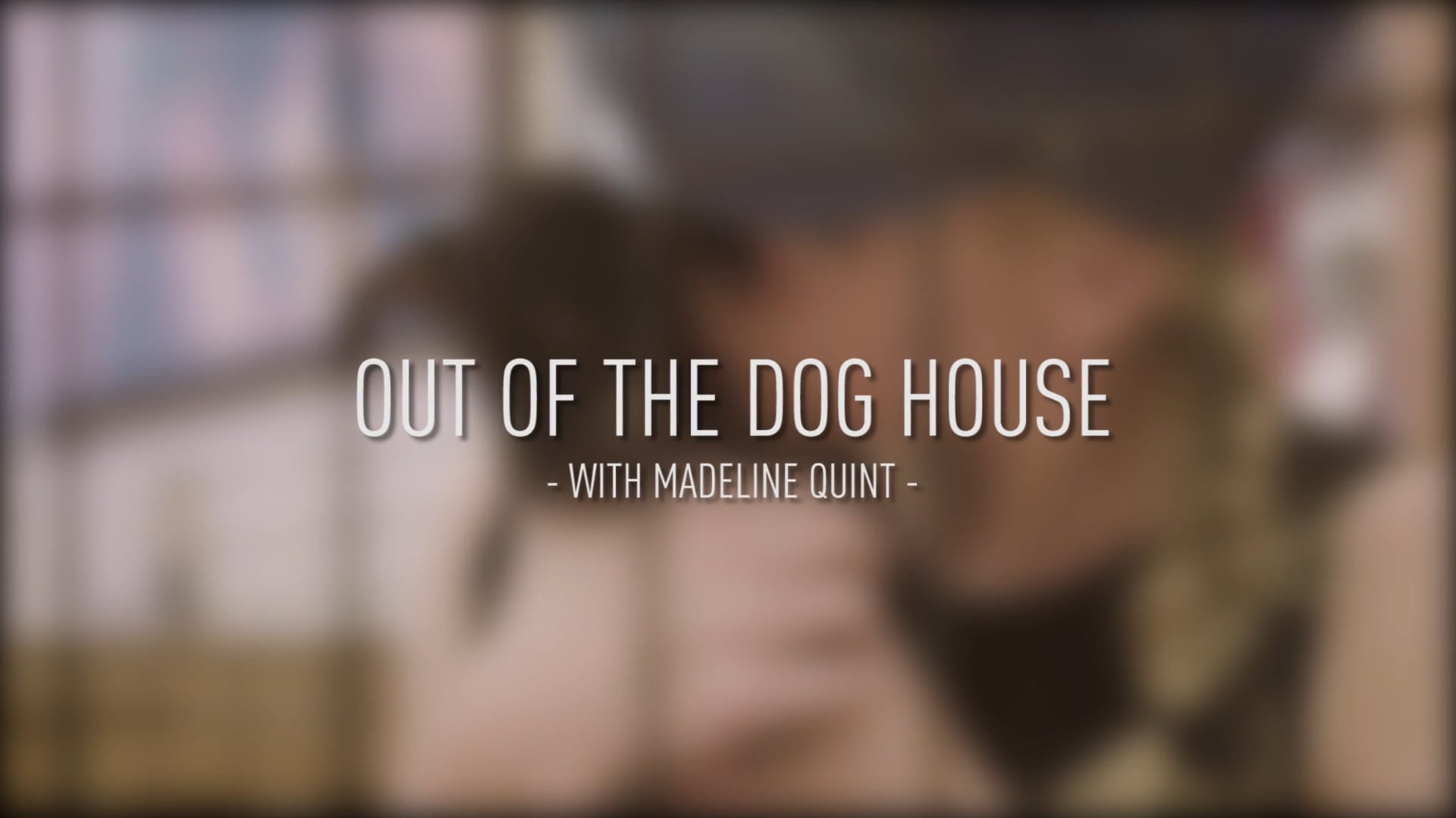 Out of The Doghouse With Madeline Quint Sizzle