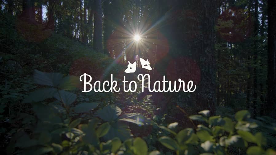 Back Nature