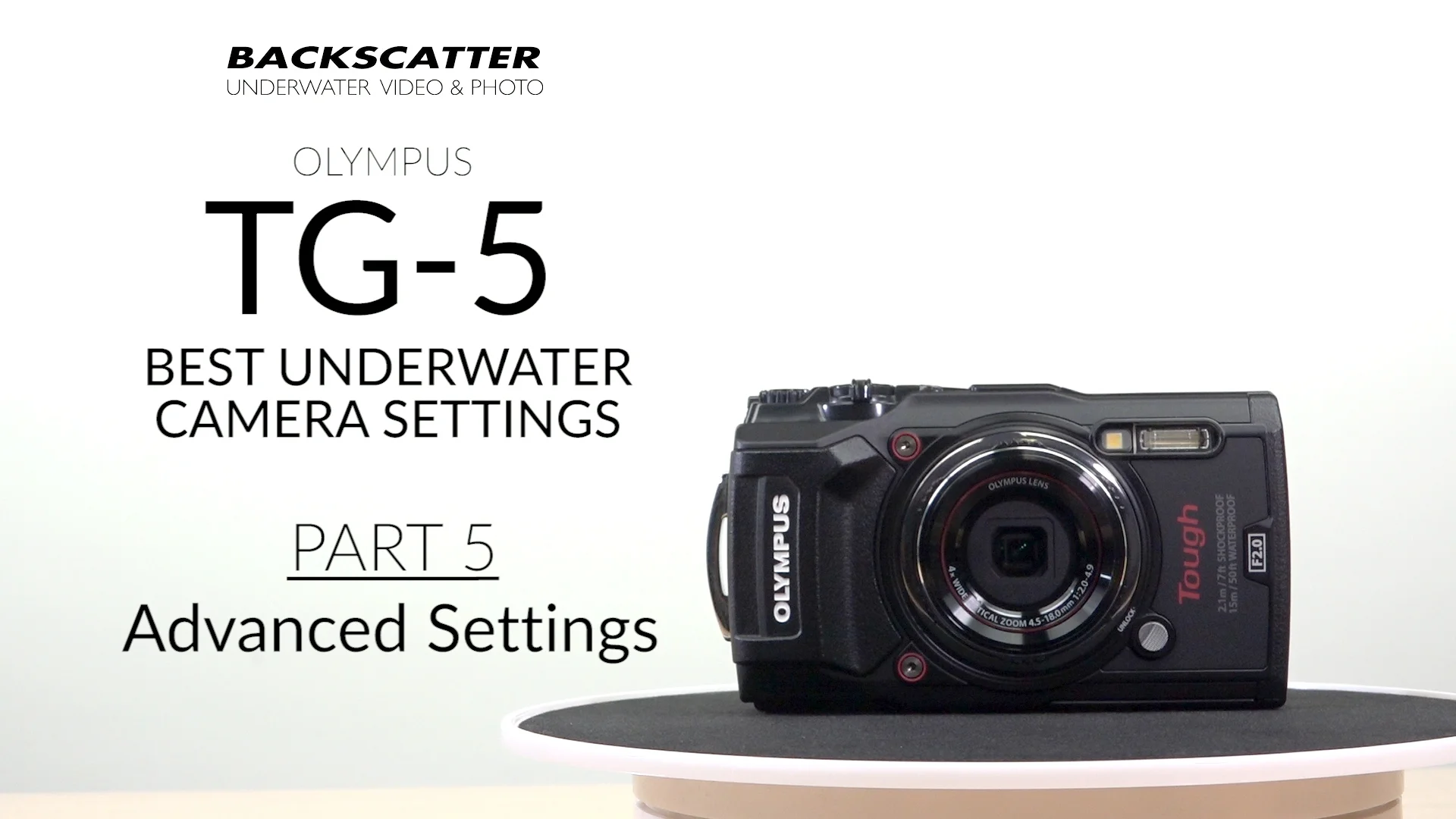 Olympus TG-5 Best Underwater Camera Settings - Underwater Olympus TG-5 Best Underwater Camera Settings - Underwater