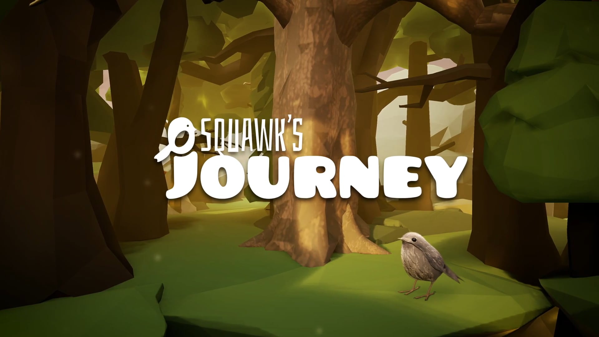 Squawk Squad Virtual Reality Experience