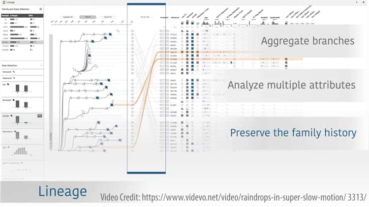 VIS18 Preview] Lineage: Visualizing Multivariate Clinical Data in Genealogy  Graphs (TVCG Paper) on Vimeo