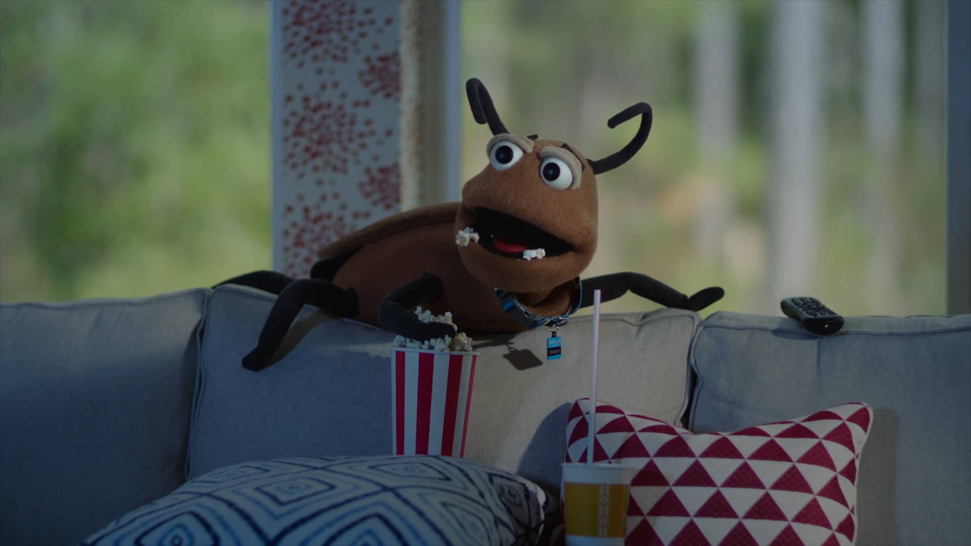 Turner Pest Control Meet Munchy on Vimeo