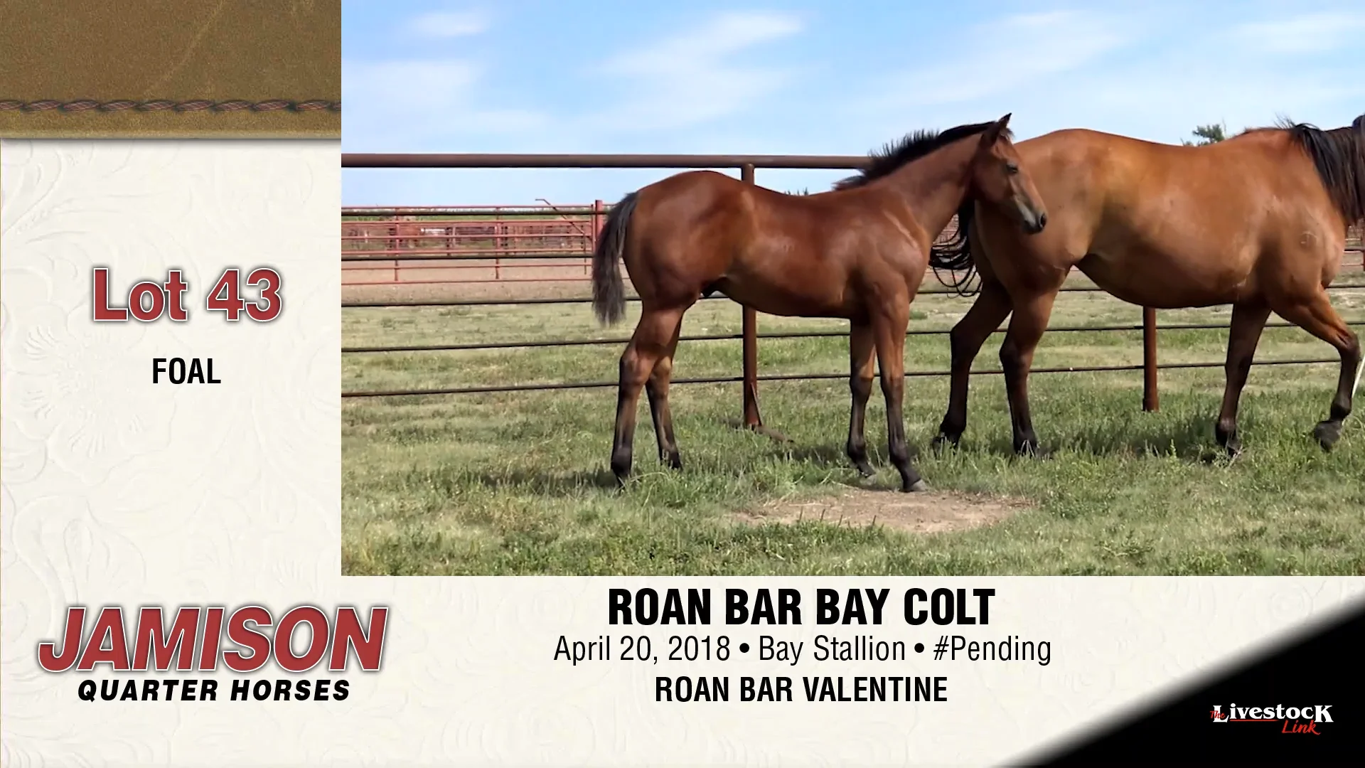 Jamison Ranch - Lot 43 on Vimeo