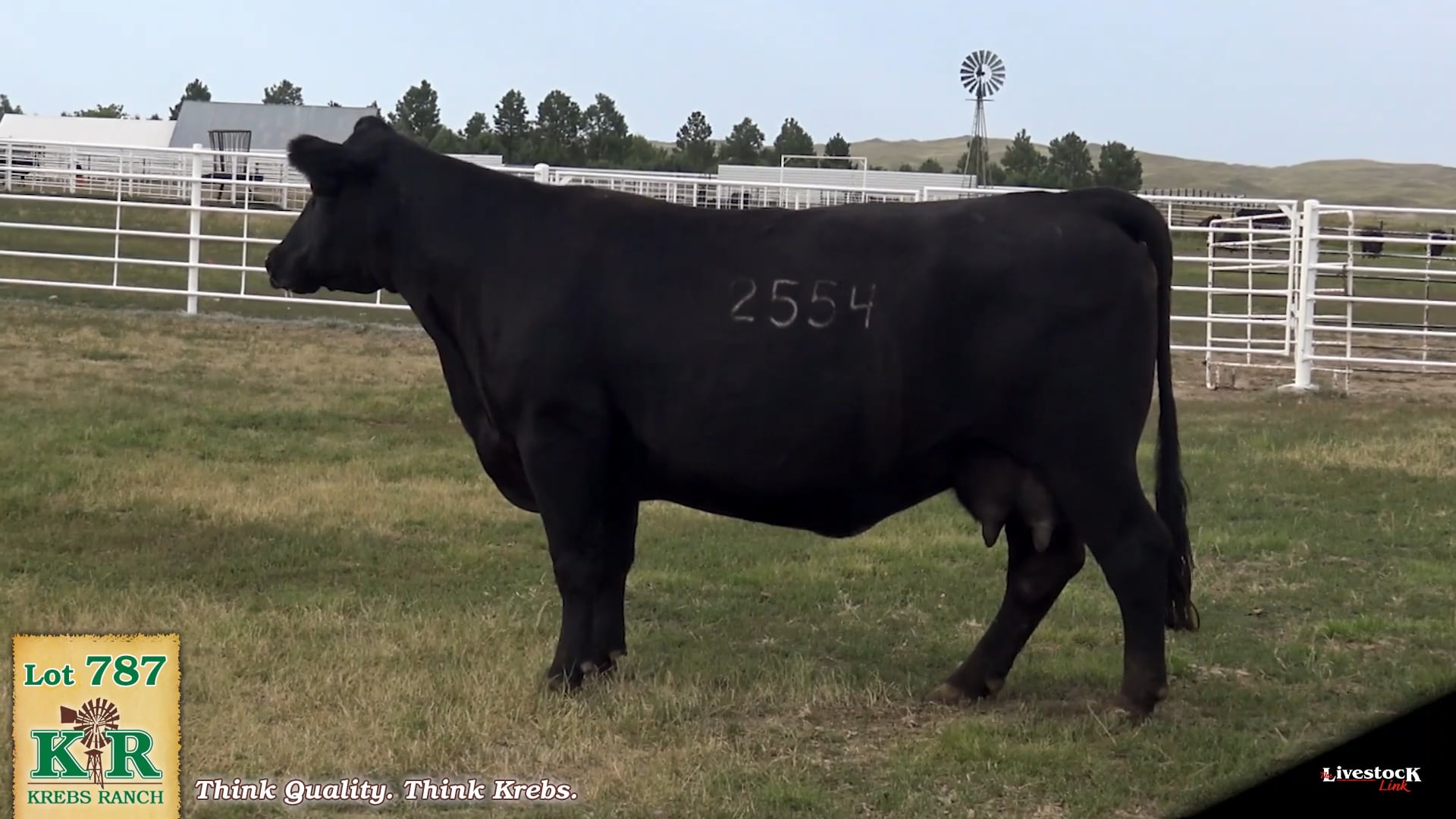 Krebs Ranch Lot 787 on Vimeo