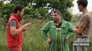 Apr&egrave;s la pluie-FILMS